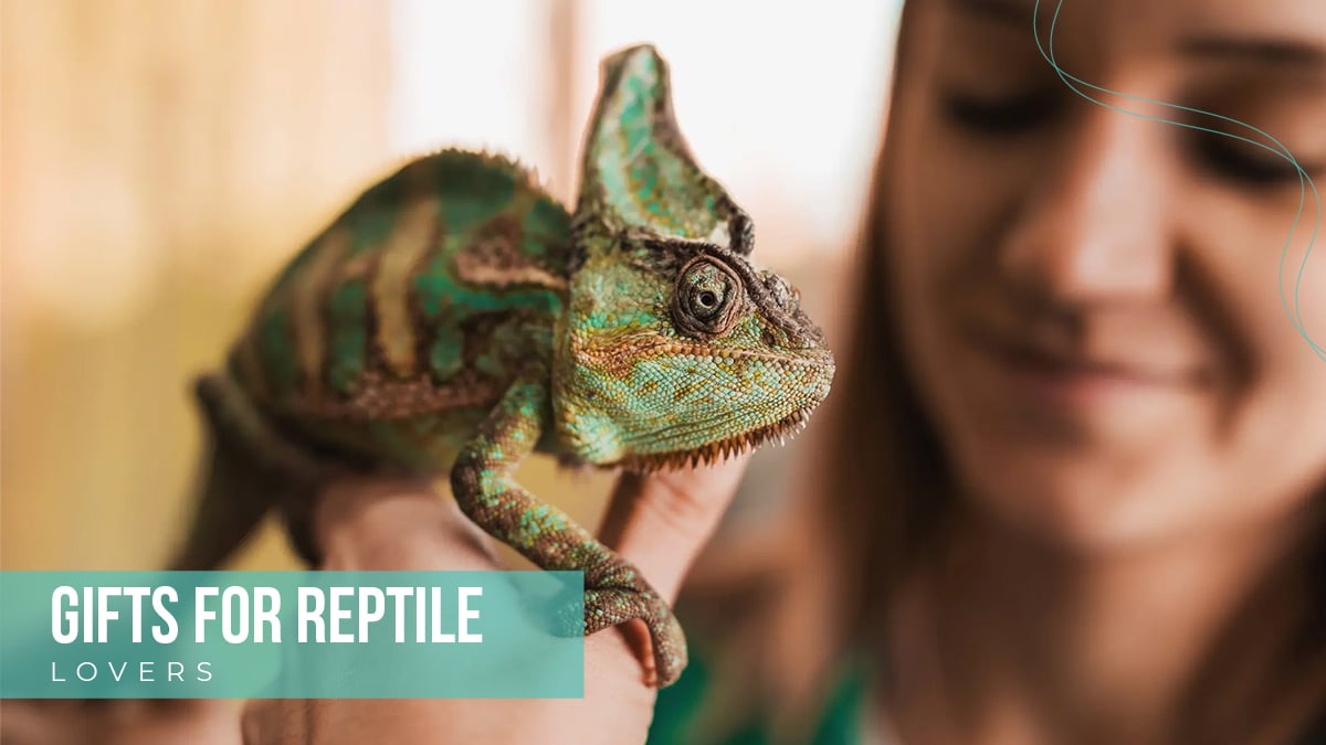 This image shows a women holding a reptile in her hand the text reads gifts for reptile lovers.