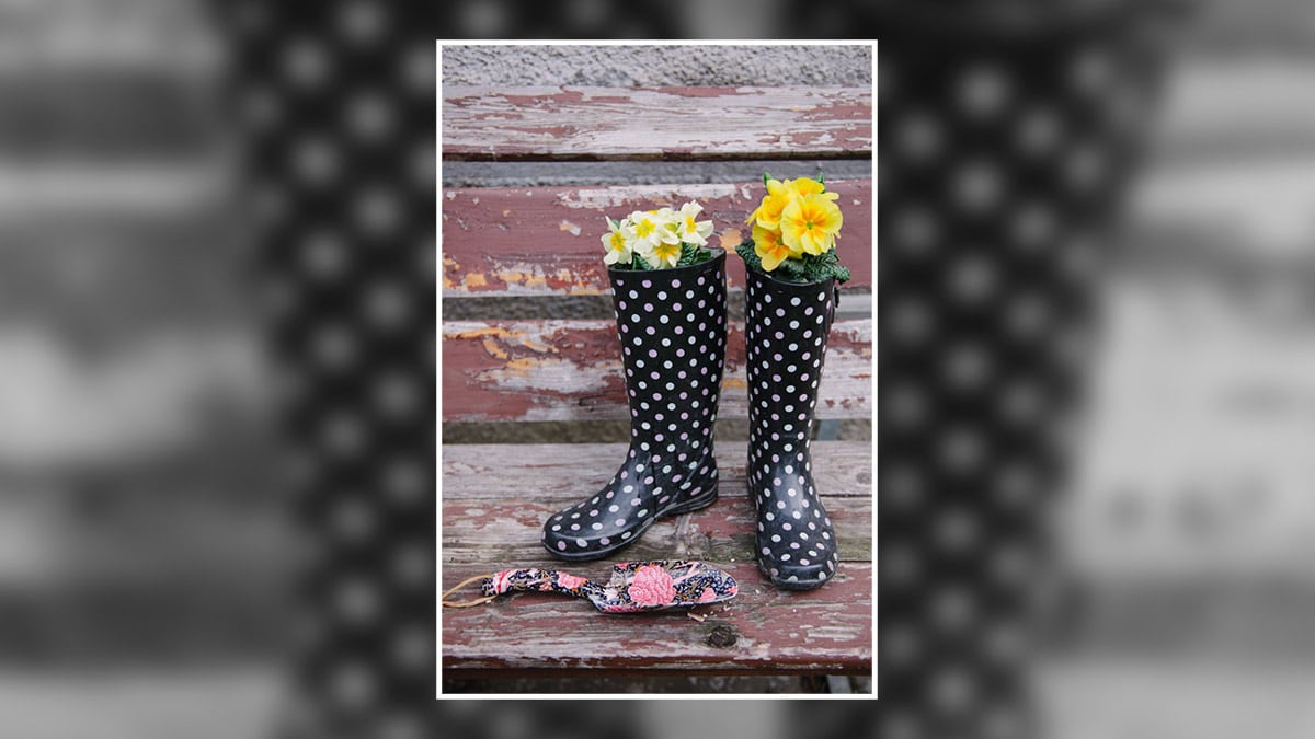 black boots with flowering plants growing in it. 