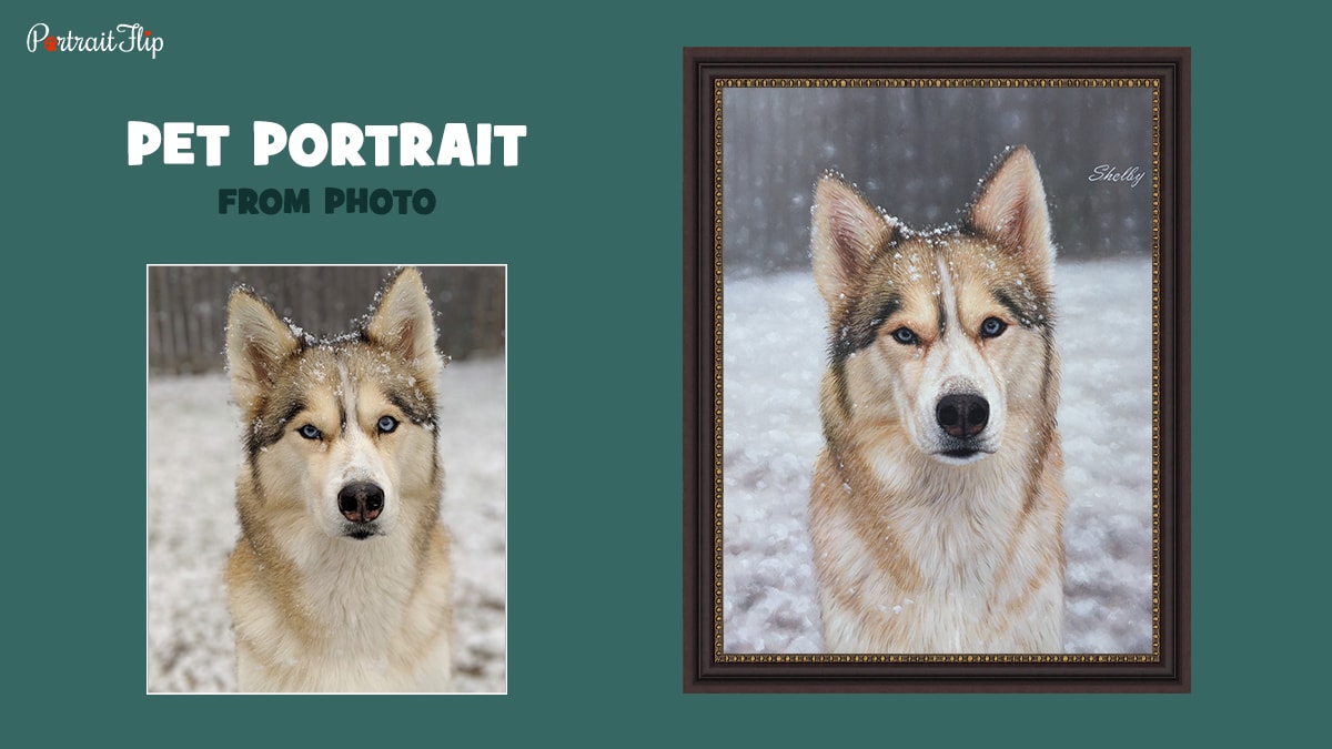 Pet Portrait by PortraitFlip