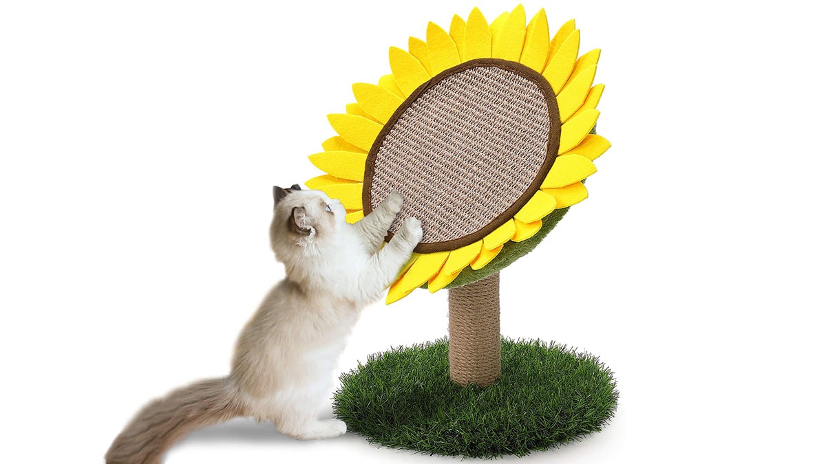 A cat scratching a flower pad that is also a scratch post that looks like a sunflower.