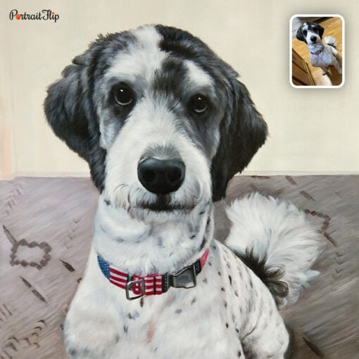 dog pastel portrait