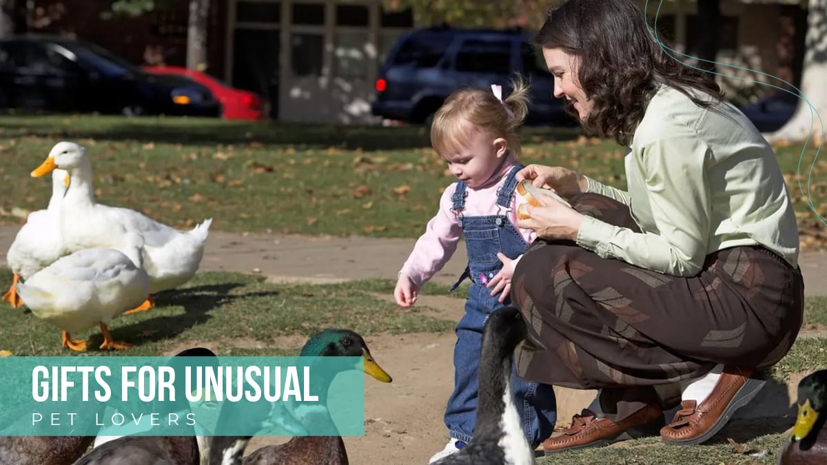 An image of a mother and daughter feeding ducks in a park. the text reads gifts for unusual pet lovers.