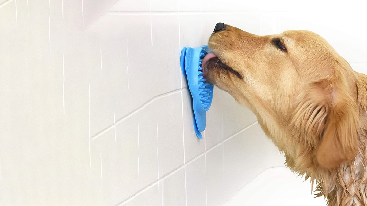 A dog in a shower with a peanut butter toy stuck to the wall while the dog is licking the toy.