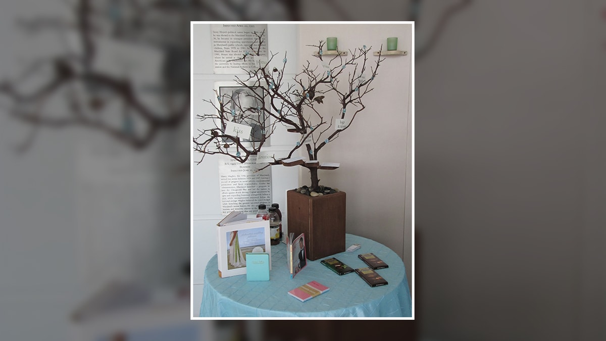 A memory tree with lot of memories on it
