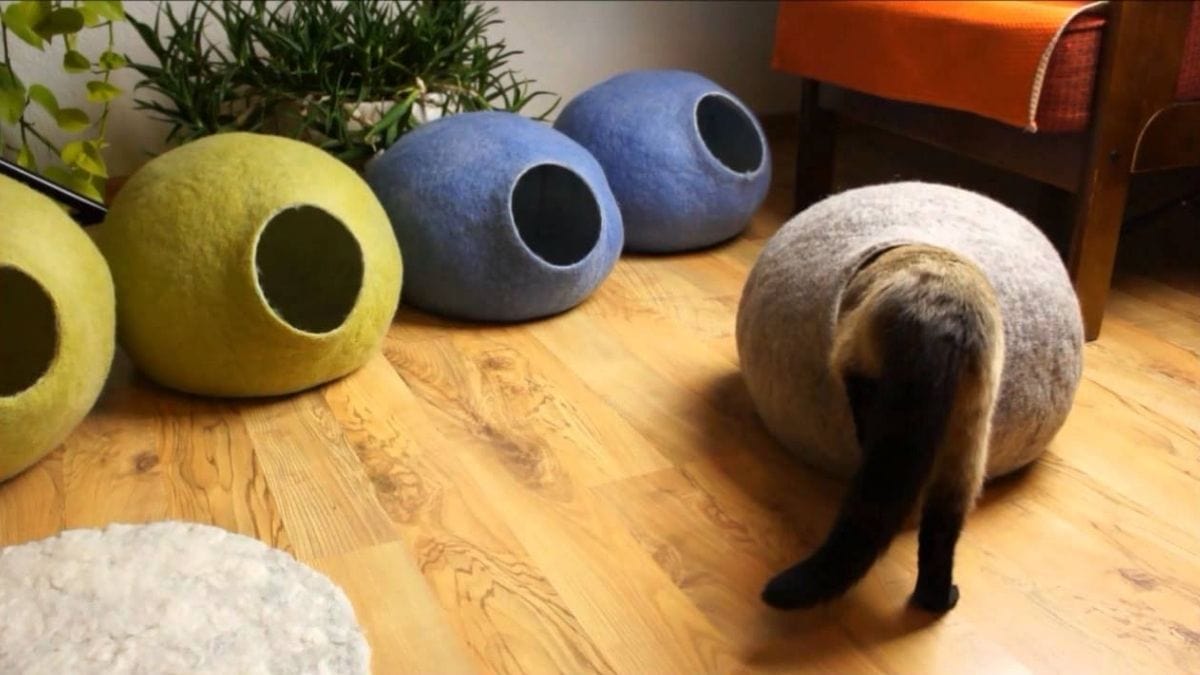 igloo shaped caves that are big enough for a cat shown as a cat themed for a cat lover