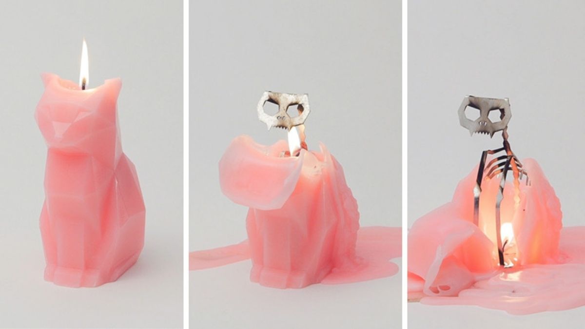 a pink goth candle that when melted shown a cat's skeleton