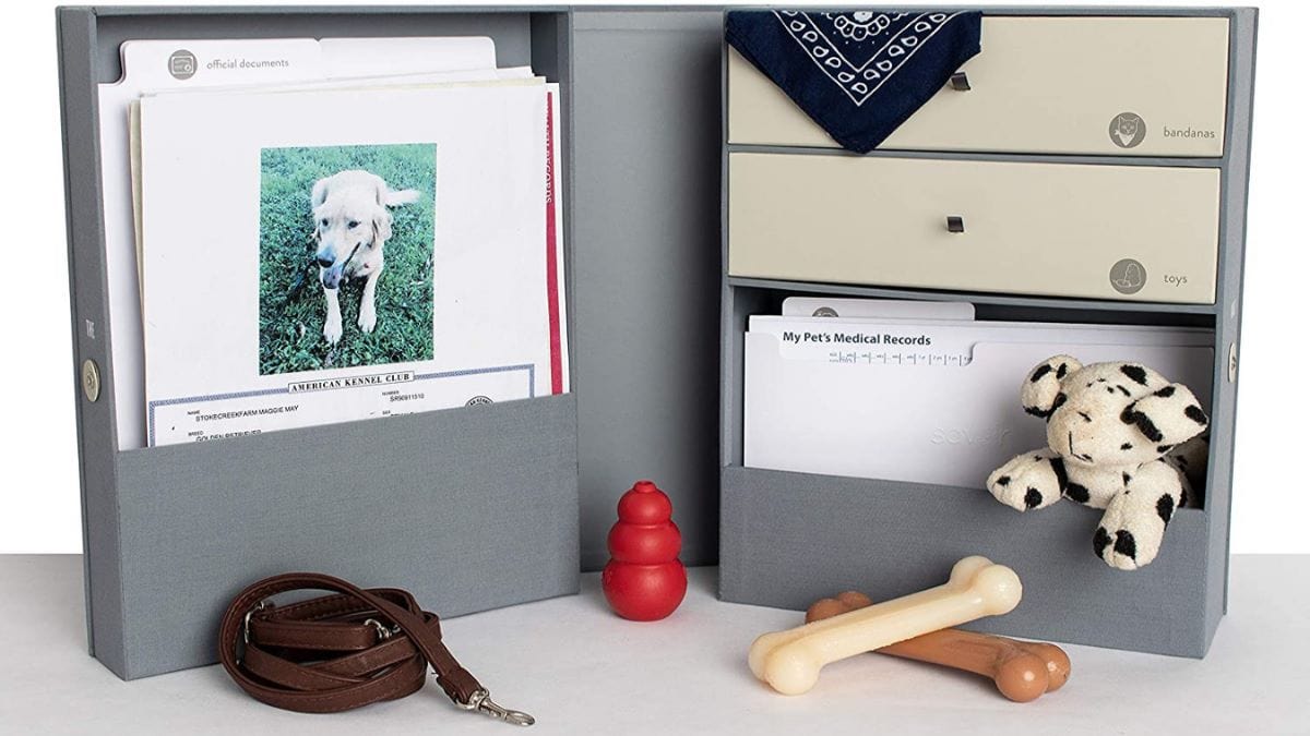 A sympathy gift shown in the form of a pet remembrance box that has a person's dead pet's personal items like chew toy, leash and their pet's favorite toy.