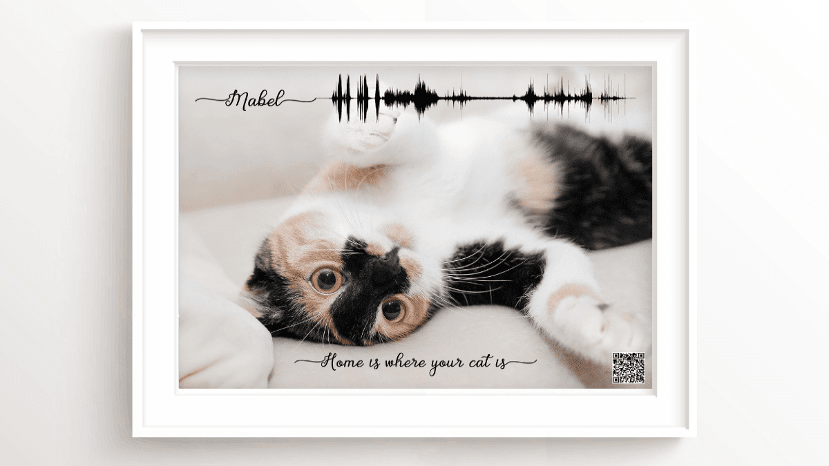 A soundwave of a person's dead cat's purrs or meows shown framed as an excellent idea for sympathy gift for someone who has lost their cat.