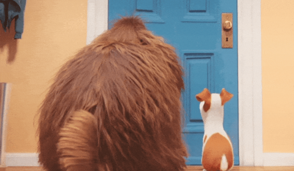 a gif of 2 dogs waiting by the door