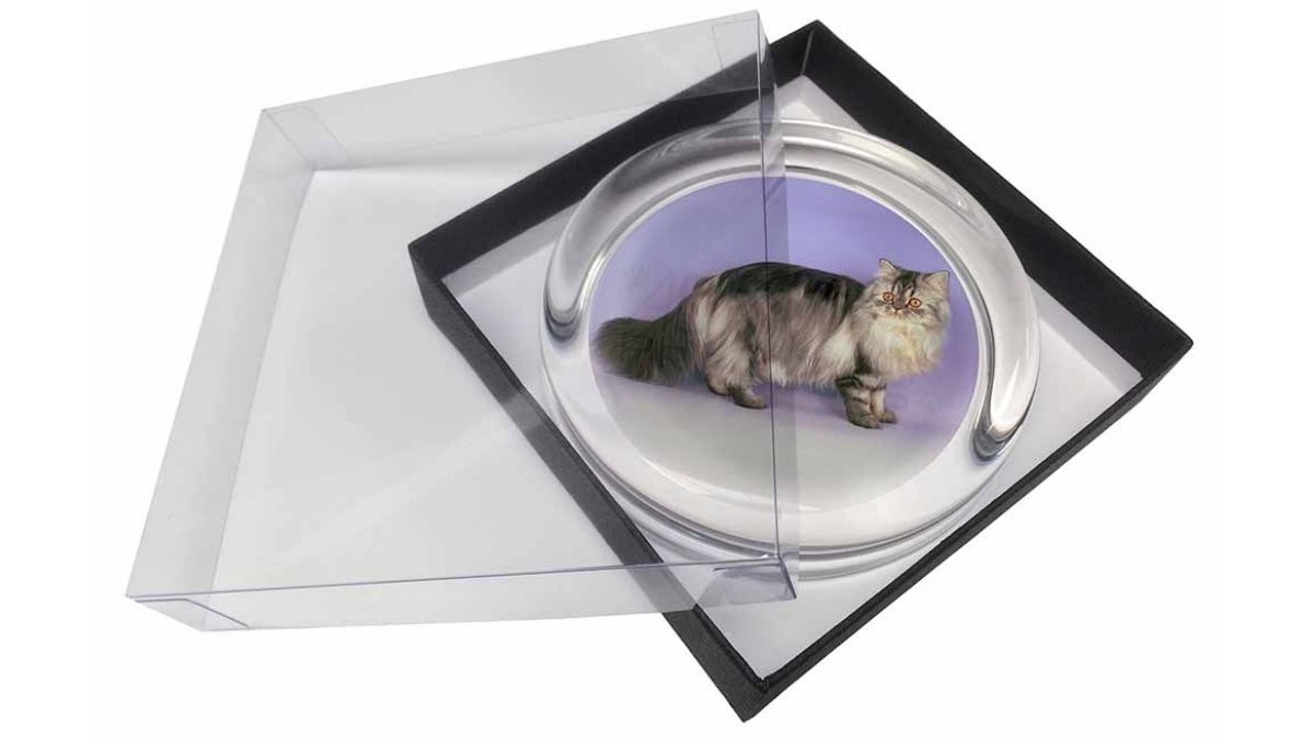  a cat themed paper weight shown as a personalized gift for a cat lover