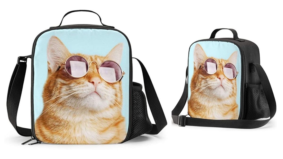 a cat themed bag shown as a gift for a cat lover