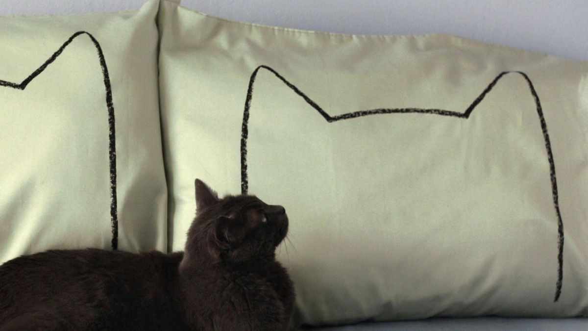 A cat themed pillow case set on a bed with a black cat sitting in front of it shown as a personalized gift for a cat lover
