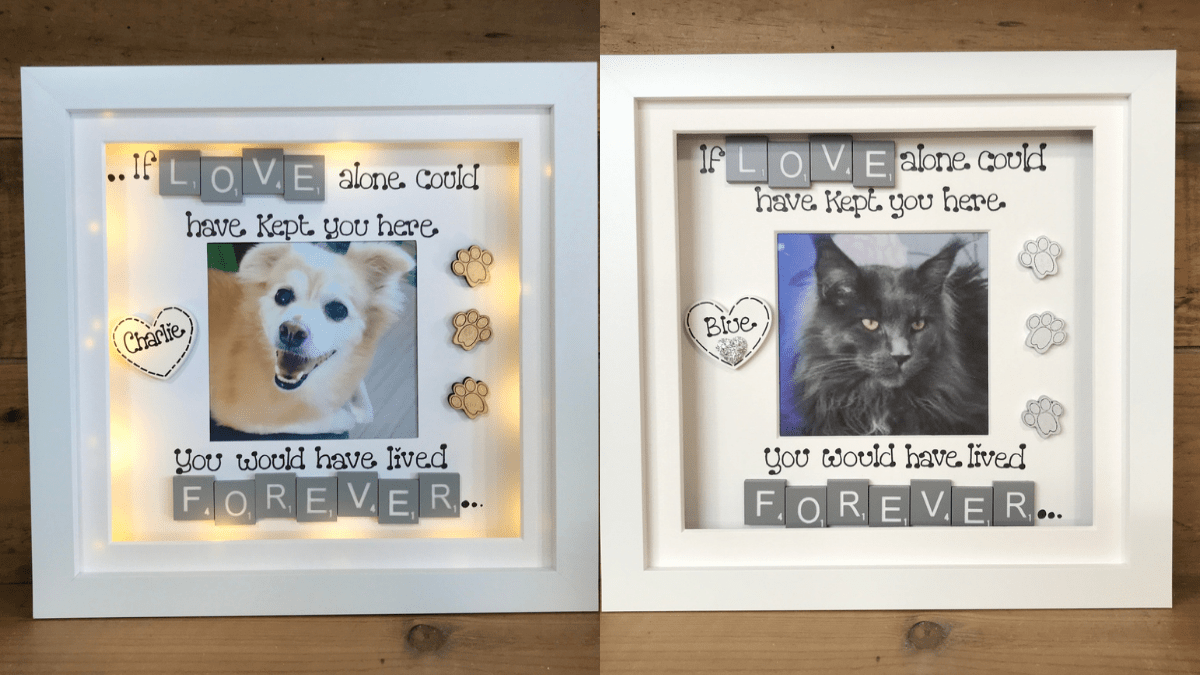 Pet memorial frames that showcase a deceased pet's photos shown as a pet memorial gift. 