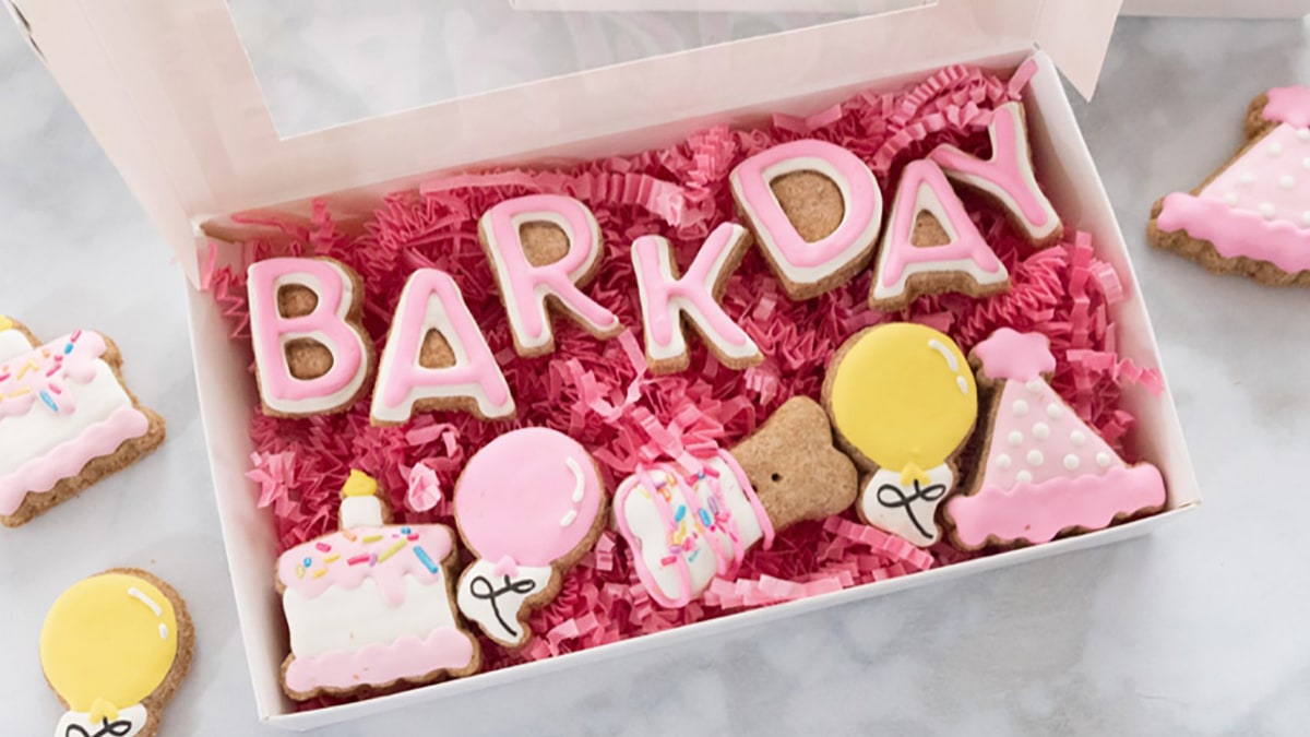 A customized cookie box with cookies in different colors and shapes. The cookies here are customized in a word that reads barkday