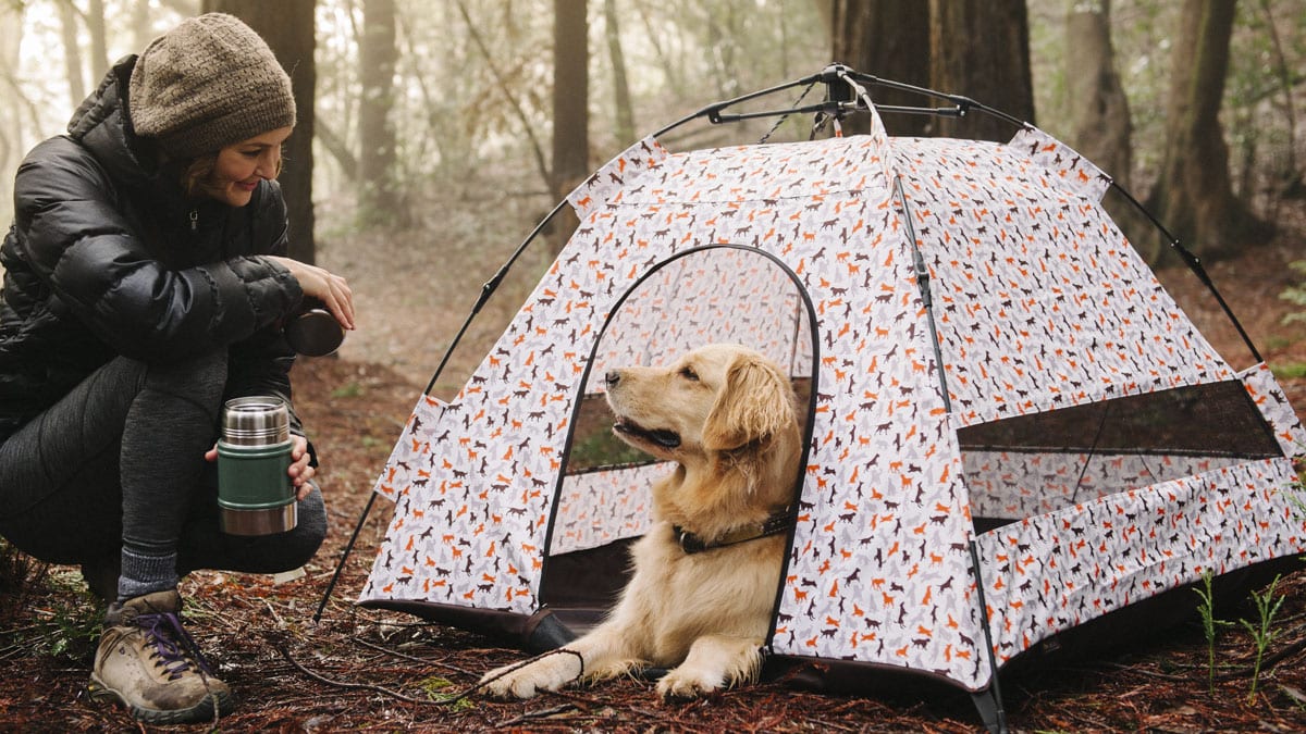 A lady and her dog enjoying their nature stroll. the dog is siting comfortably inside his custom tent