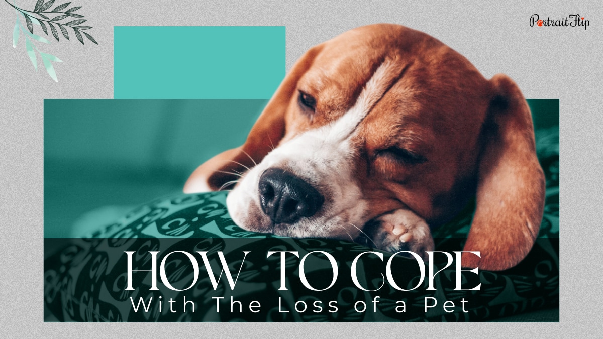 A sad beagle puppy shown in a mourning state with the words how to cope with the loss of a pet written on the image.