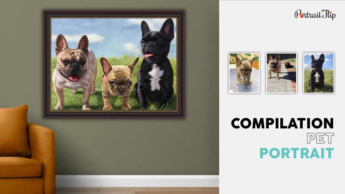 A compilation pet portrait by PortraitFlip