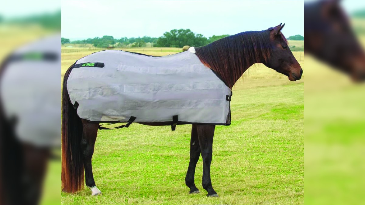 a horse is covered partially by Classic Equine MagNTX Sheet