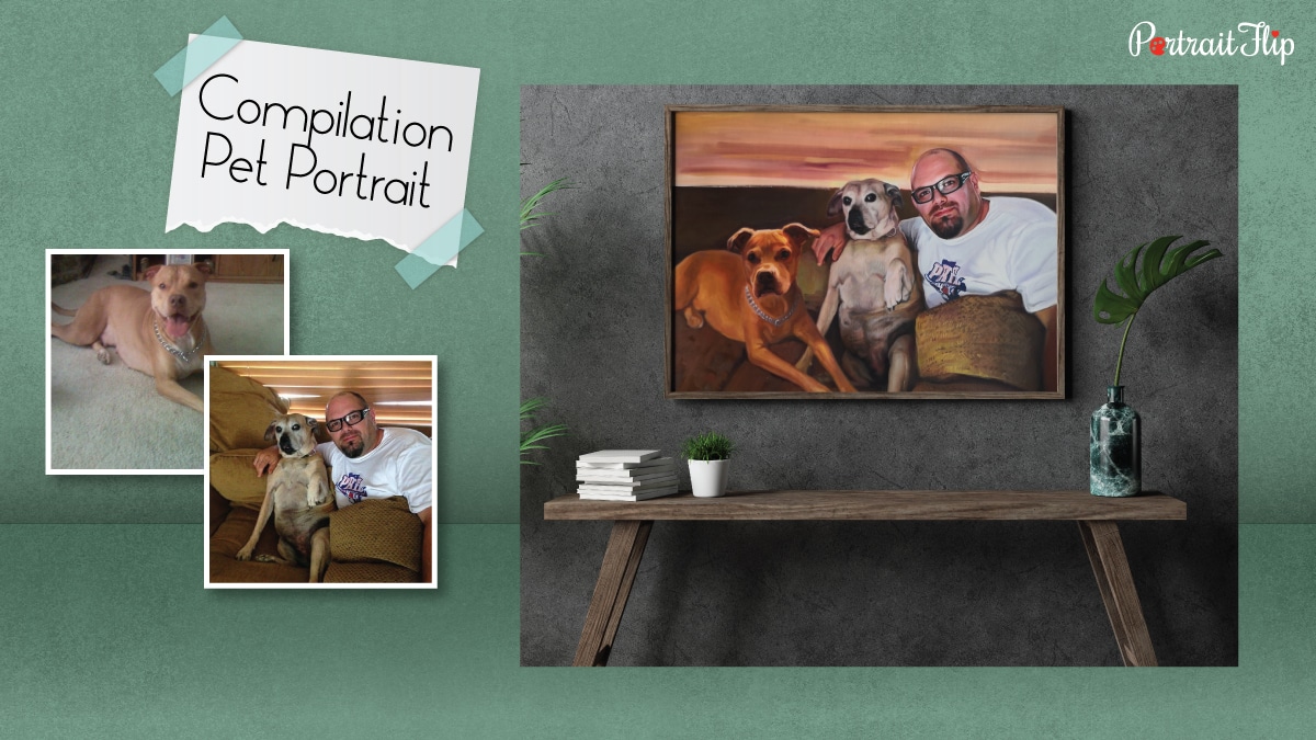 a compilation pet portrait on a grey textured wall