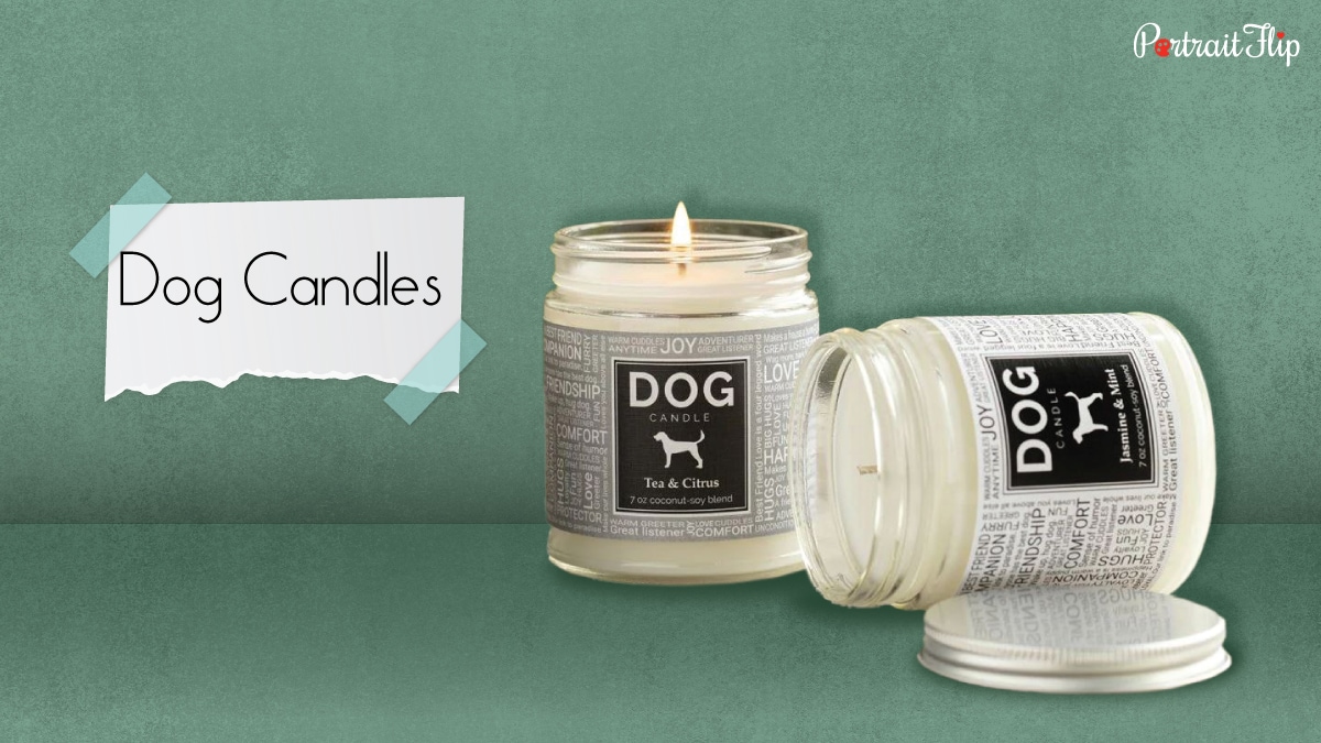 two candles with covers depicting a dog breed