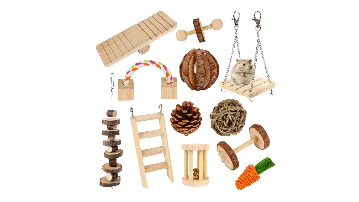 hamster chew toys and exercise set for a hamster