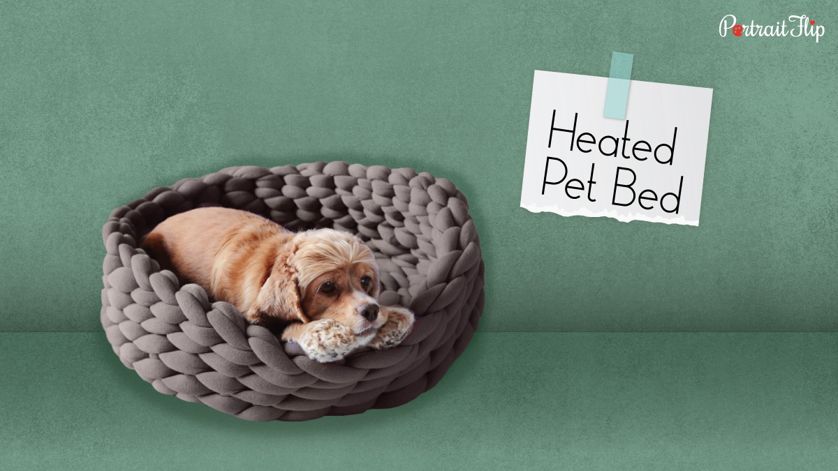 a dog laying on a heated pet bed