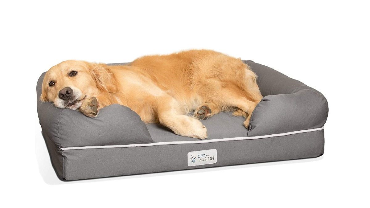 a dog lying on a bed with eyes open