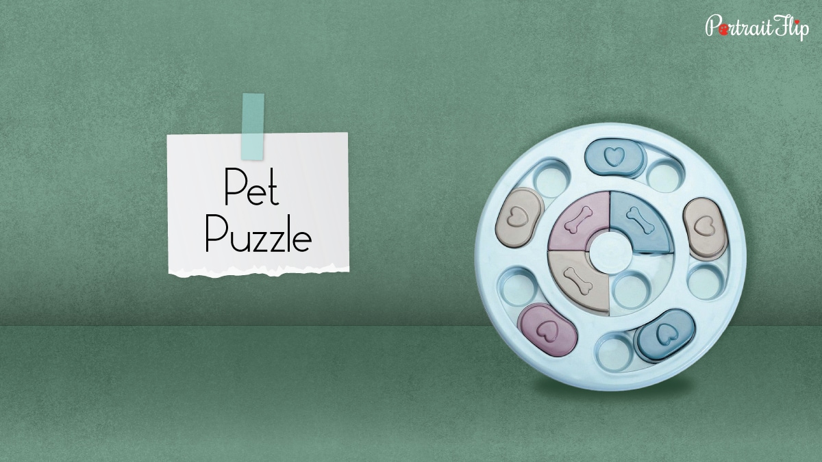 a blue pet puzzle