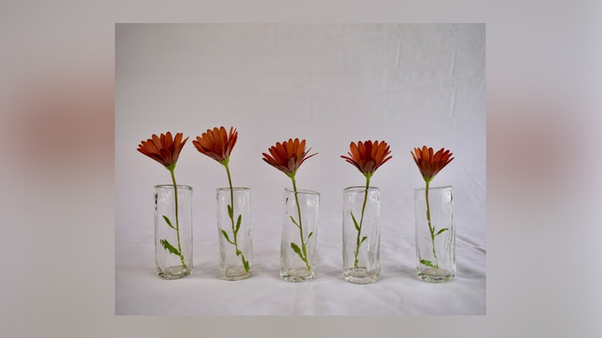 5 shot vases with roses. 