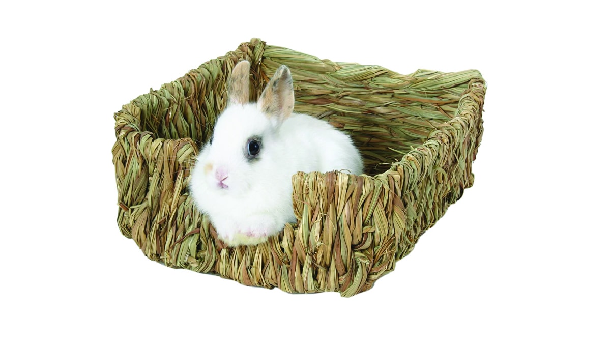 a rabbit in a woven grass pet bed
