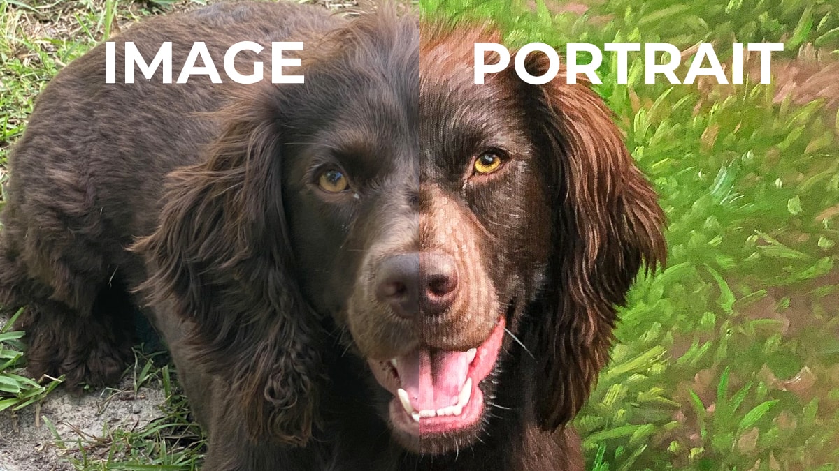 difference between image and pet portrait