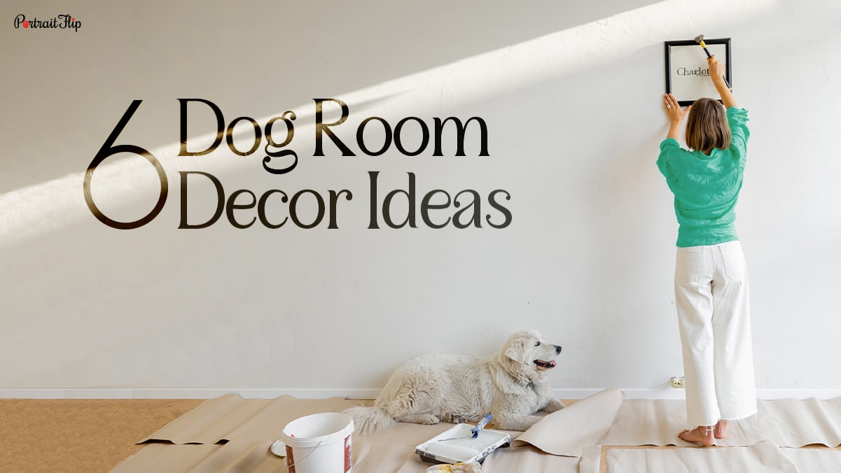 Dog room decor ideas