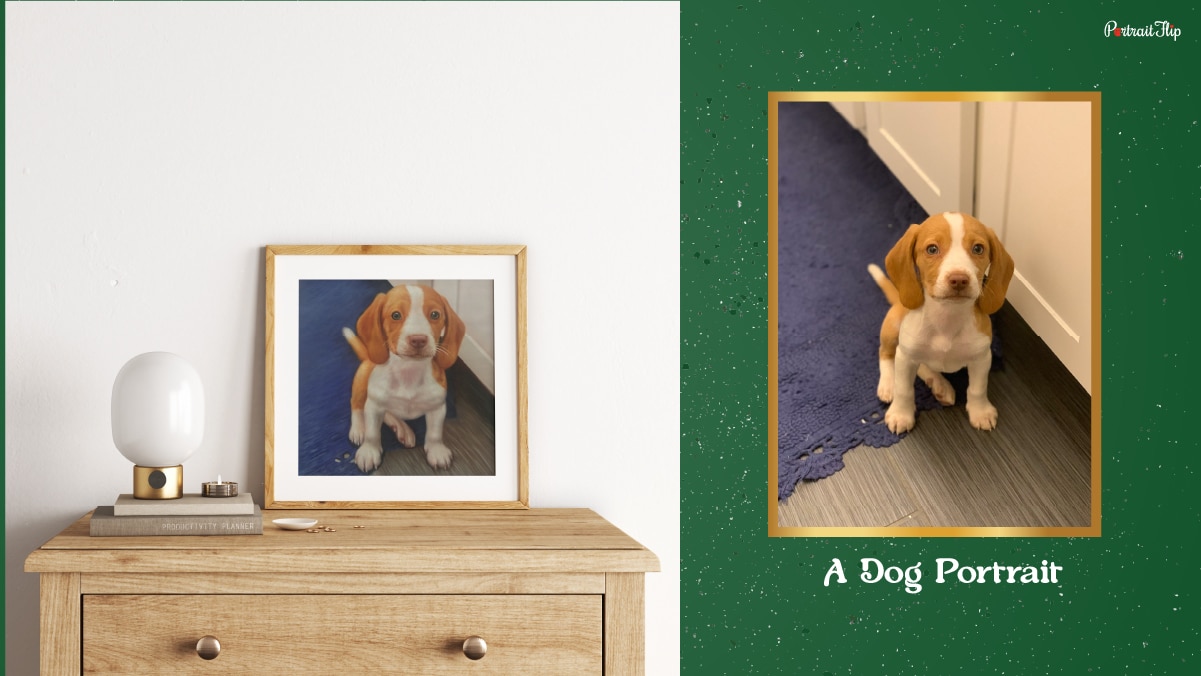 a dog portrait made by PortraitFlip