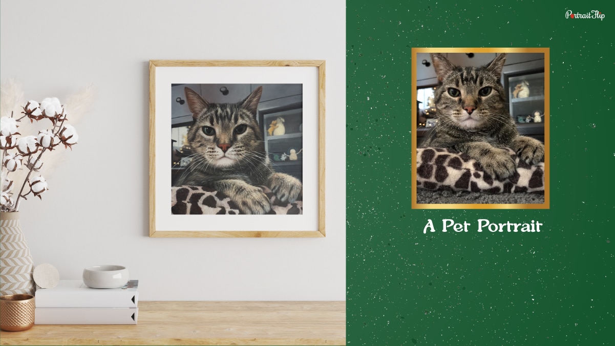 a pet portrait made by PortraitFlip