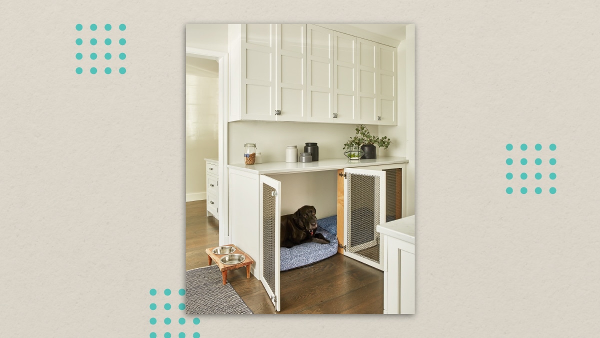 a dog under the wall shelf in a kennel-like furniture