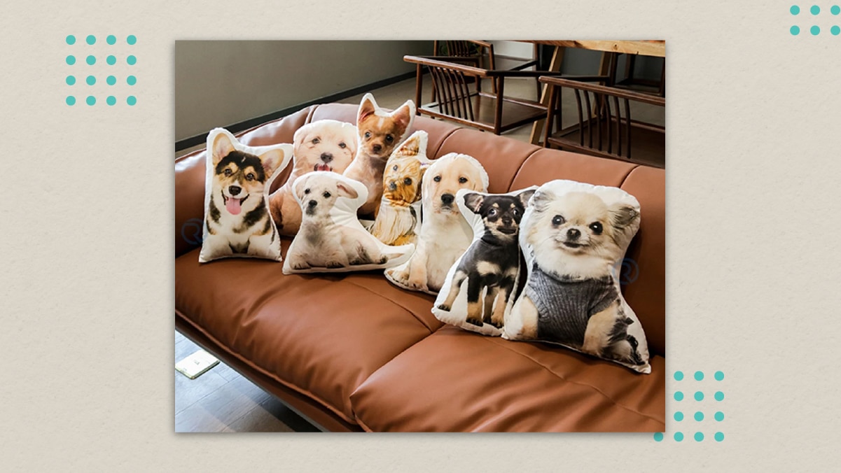 a half dozen of personalized dog pillow laying on the couch. 