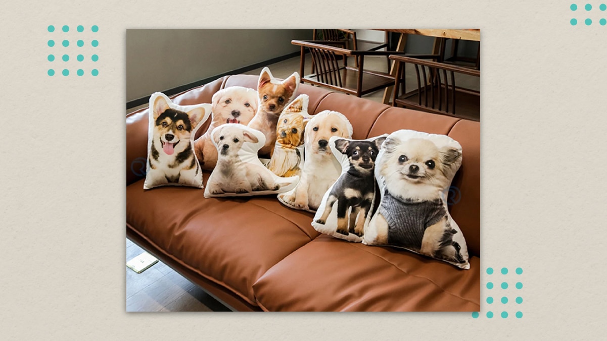 a half dozen of personalized dog pillow laying on the couch.