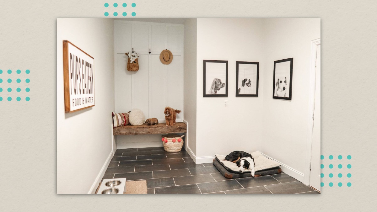 a dog room is filled with photo frames, hooks, and dog furniture