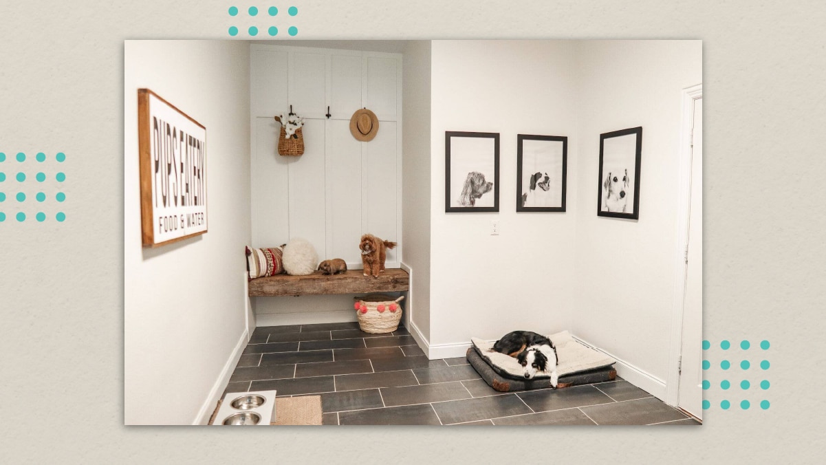 6 Dog Room Decor Ideas That'll Make A Friendly Home For Pets!