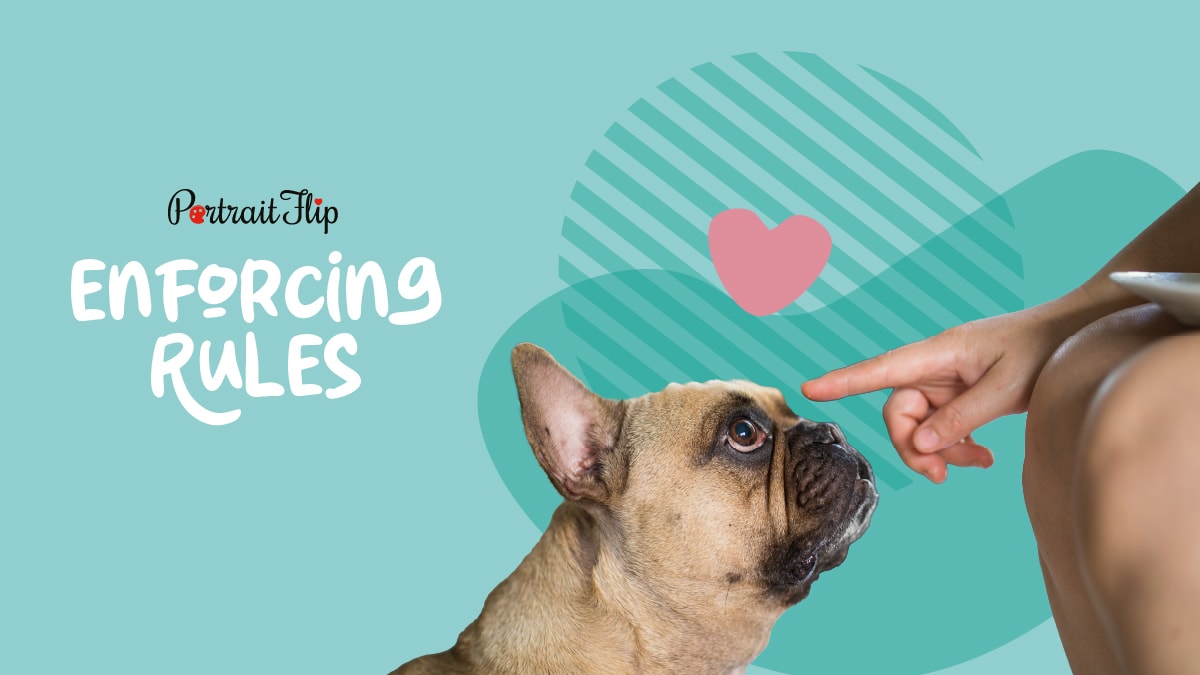 Enforcing Rules with your pet.