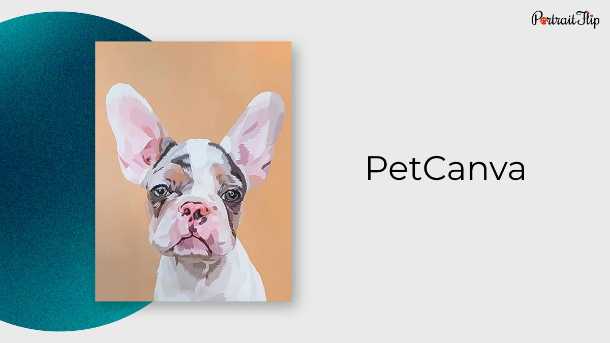 PetCanva Pet Portrait From Photos