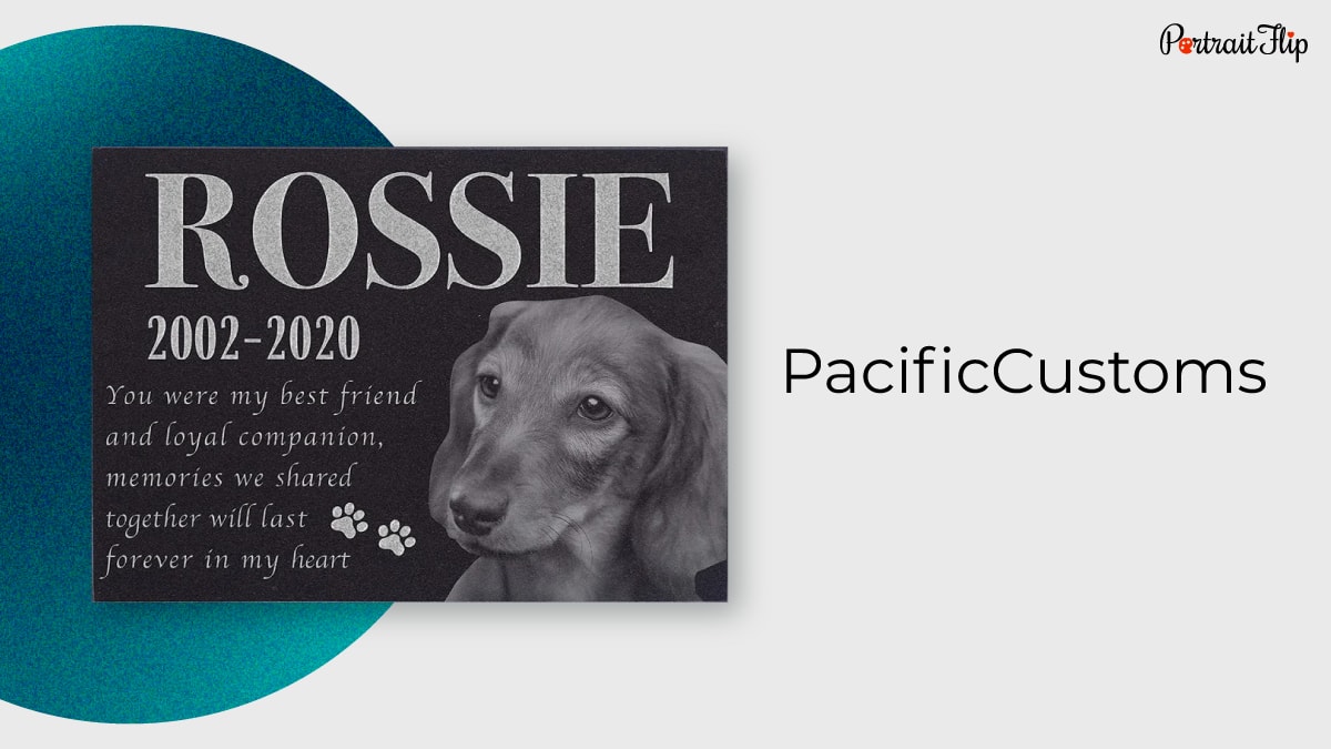 Custom pet art from photos