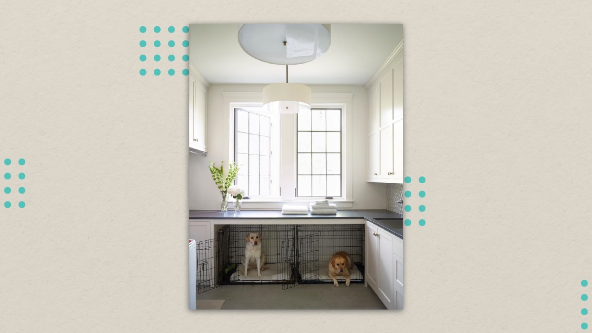kennels installed in a laundry room