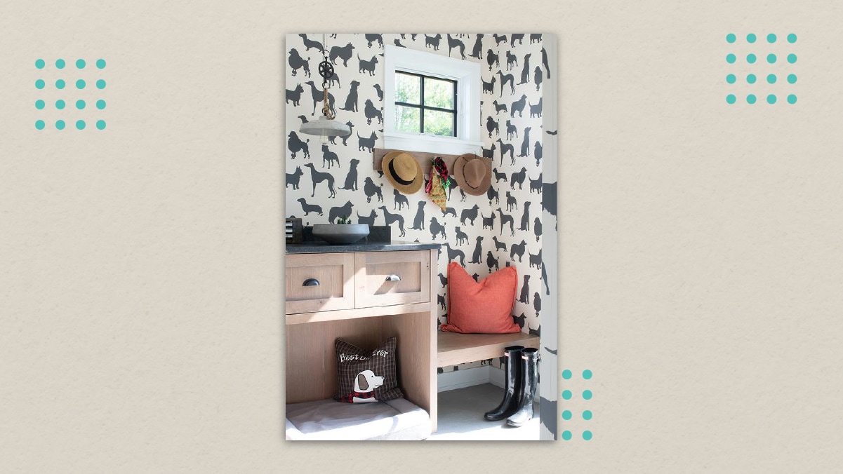 a dog room with dog room decor items