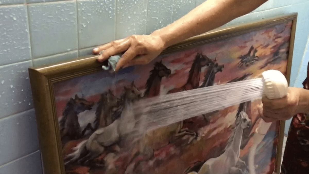 washing a painting with water shown as a method to not use while cleaning an oil painting