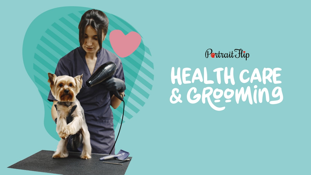 Taking care of your pets Health Care and Grooming is way to show them love.