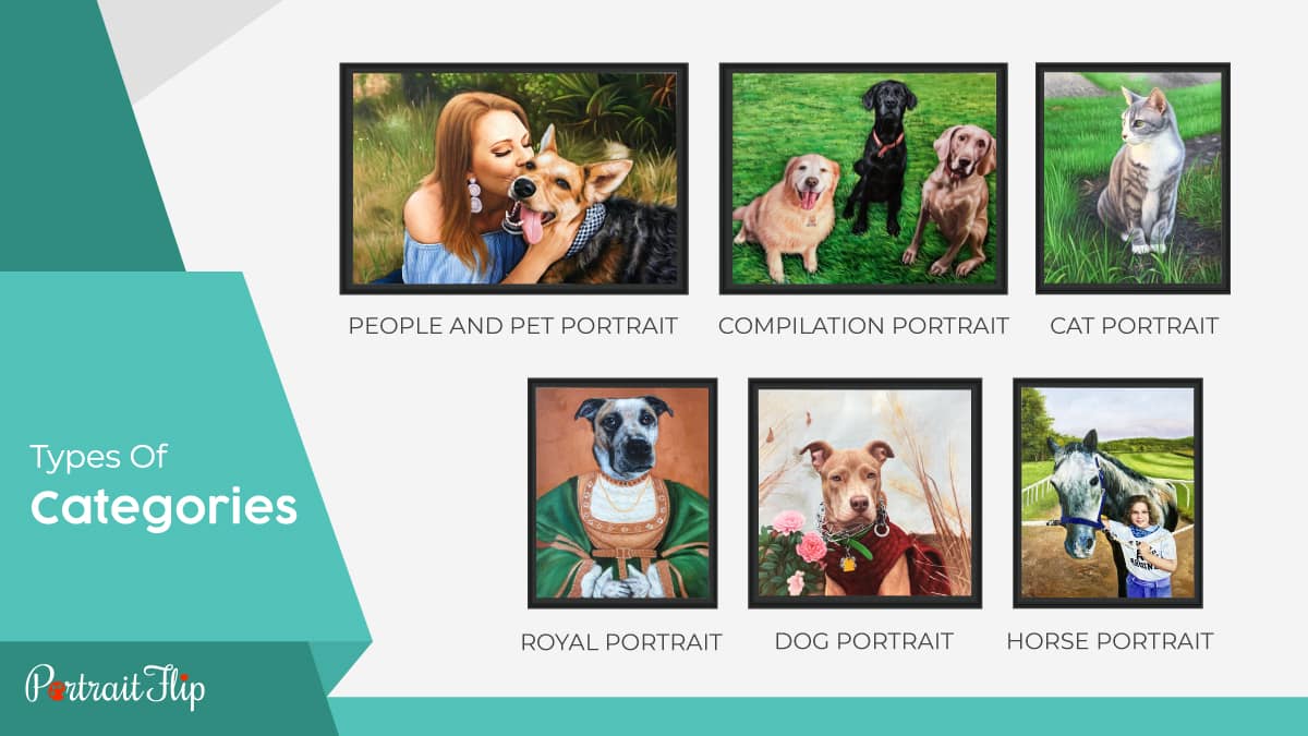 Pet portraits from different categories displayed on a plain white background. the text reads types of categories.