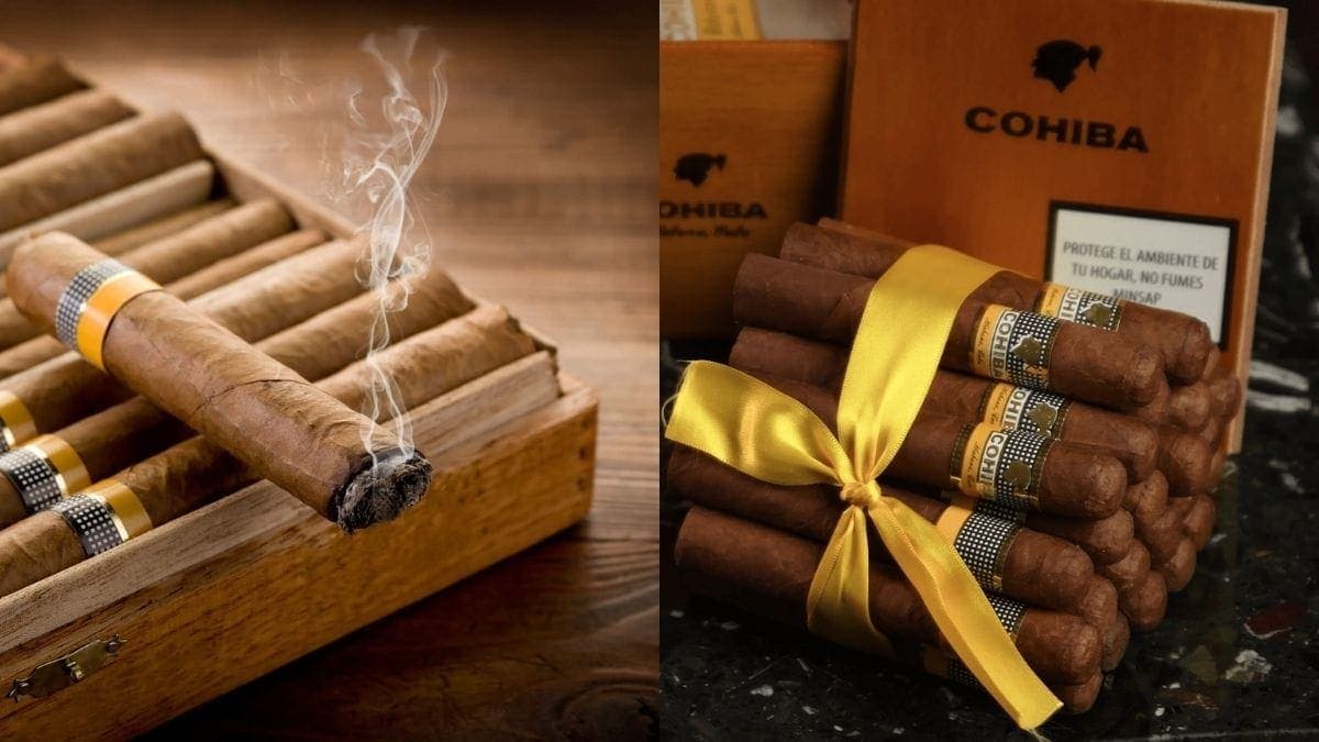 A lit cigar kept box full on cigars on the left. a heap of Cohiba cigars are tied together with a Yellow ribbon and kept in front of the cigar box.