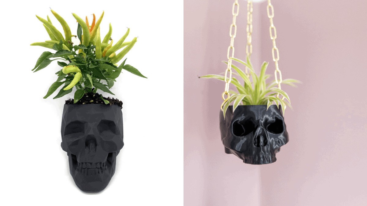 Skull shaped pots with little plants in them. one is on a white background and one is hanging in the corner of a pink wall.