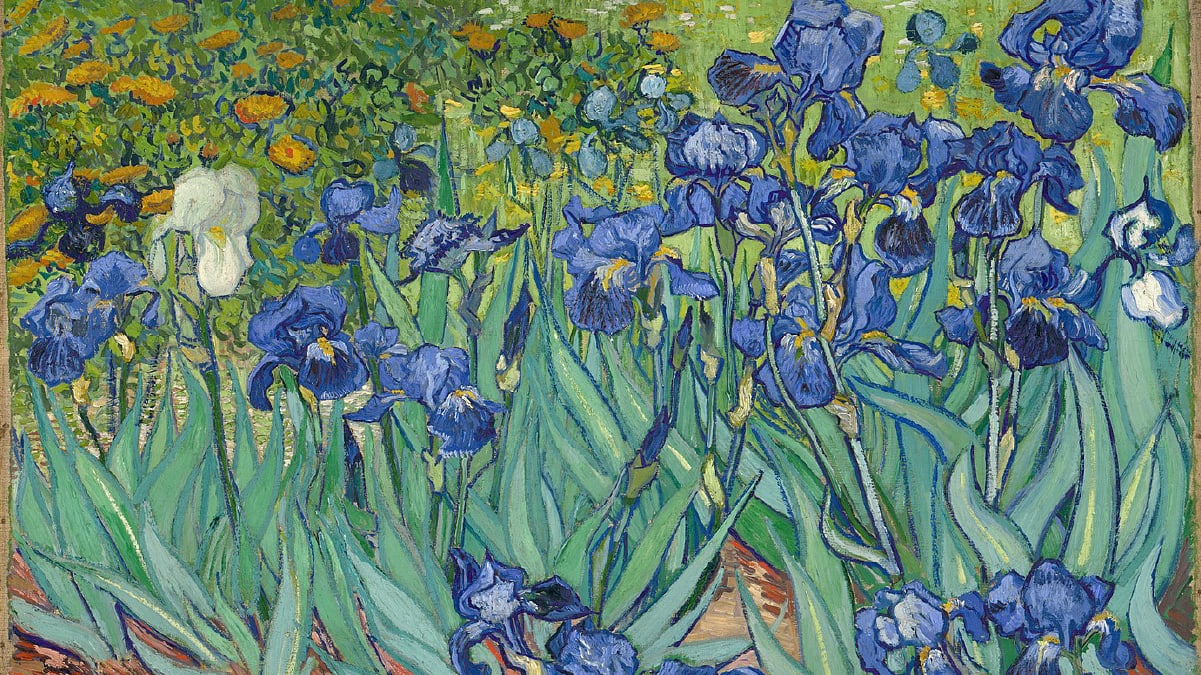Irises Van Gogh painting